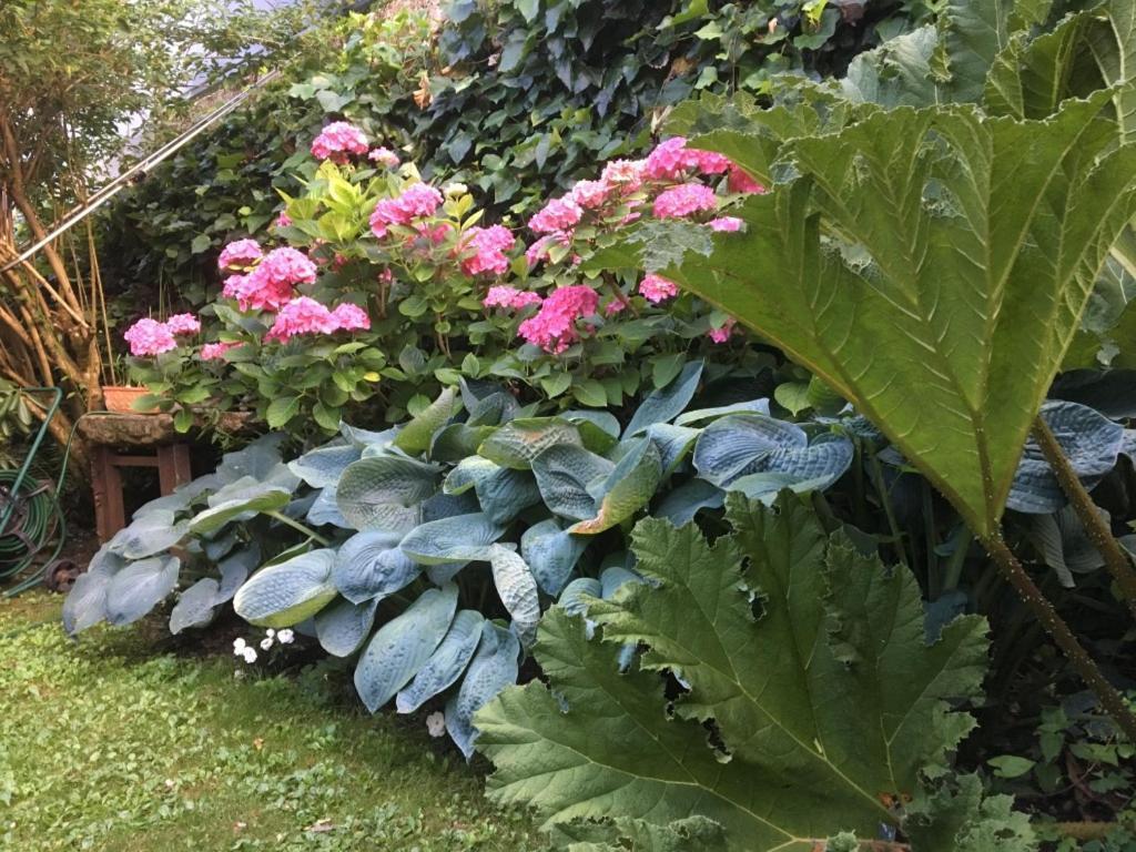 Cote Jardin, Chambres D'Hotes B&B Le Pont-de-Beauvoisin Εξωτερικό φωτογραφία